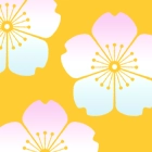 桜姫東文章 特集